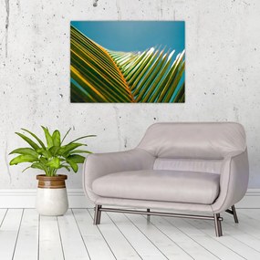 Tablou pe sticlă - Frunze de palmier (70x50 cm)