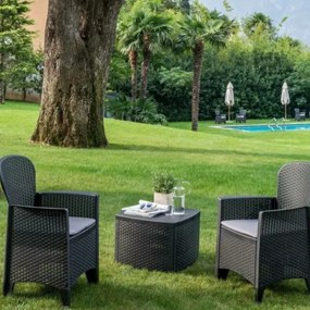 I.P.A.E-Progarden Set de grădină TREE, 3 piese, antracit