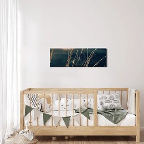 Tablou cu ierburi (cu ceas) (90x30 cm)