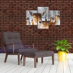 Tablou - Cerbi (90x60 cm)