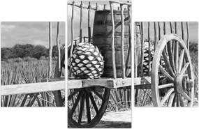 Tablou - Remorcă,alb-negru (90x60 cm)