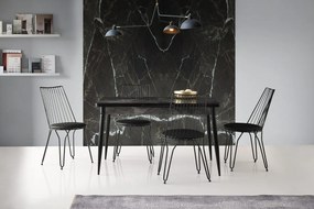 Set de scaune de sufragerie Ada Black, 2 buc.
