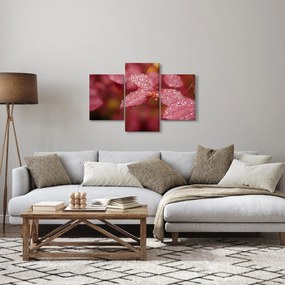Tablou - Imagine macro a biletului (90x60 cm)