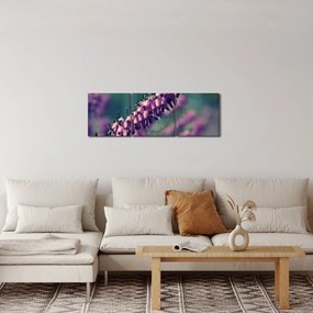 Tablou cu lavanda (cu ceas) (90x30 cm)