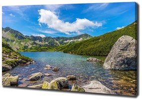 Tablou pe pânză canvas Tatra valley