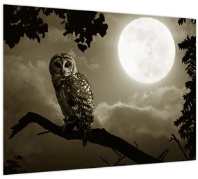 Tablou - Bufniță de noapte, auriu (70x50 cm)