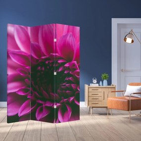 Paravan - floarea roz (126x170 cm)
