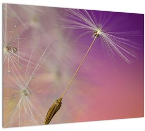 Tablou cu  floarea norocul (70x50 cm), în 40 de alte dimensiuni noi