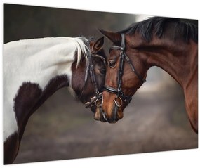 Tablou - Cai îndrăgostiți (90x60 cm)