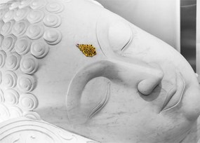 Tablou - Buddha alb (70x50 cm)