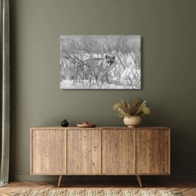 Tablou - Vulpe,alb-negru (90x60 cm)
