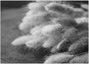 Tablou pe sticlă - iarbă de coadă de iepure pe masă (70x50 cm)