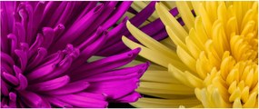 Tablou - detailu cu flori (120x50 cm)