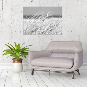 Tablou pe sticlă - Iarbă de plajă (70x50 cm)