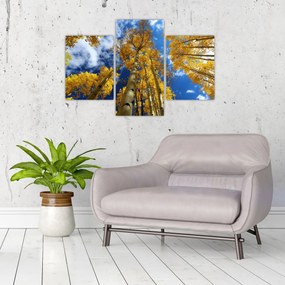 Tablou - Aspen (90x60 cm)