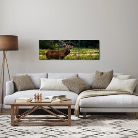 Tablou cu cerb (cu ceas) (90x30 cm)