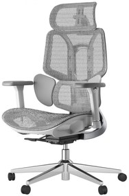 HBADA E3 AIR Scaun ergonomic, cu suport lombar dinamic pe 3 zone, tetieră reglabilă 3D, cotiere reglabile 6D, pivotant, Gri