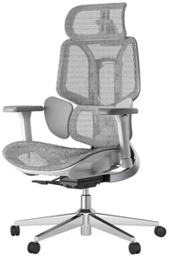 HBADA E3 AIR Scaun ergonomic, cu suport lombar dinamic pe 3 zone, tetieră reglabilă 3D, cotiere reglabile 6D, pivotant, Gri