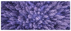 Tablou cu copacii înzăpeziți (120x50 cm)