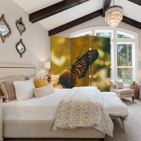 Paravan - Fluture pe floare (126x170 cm)