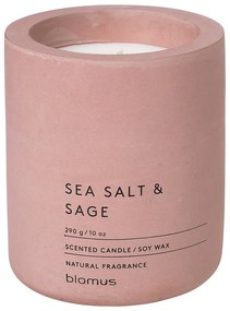 Lumânare parfumată din ceară de soia timp de ardere 55 h Fraga: Sea Salt and Sage – Blomus