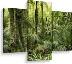 Tablou - Pădure tropicală (90x60 cm)