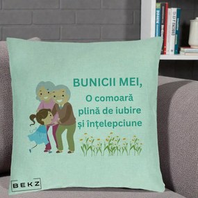 Cadou pentru Bunici - Perna Personalizata Bunicii Mei Comoara Iubire Intelepciune Nepoata, 40x40 cm, Verde Menta, Husa Detasabila, Perna Inclusa, BEKZ®