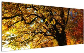 Tablou cu copac toamna (120x50 cm), în 40 de alte dimensiuni noi