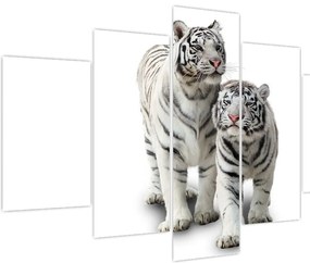 Tablou - Tigrul alb (150x105 cm)