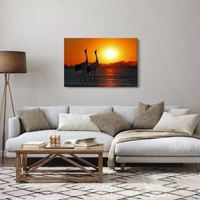 Tablou cu păsări în apus de soare (90x60 cm)