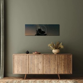 Tablou cu cerul nocturn și copaci (cu ceas) (90x30 cm)
