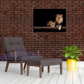 Tablou - Leu și leoaică (70x50 cm)