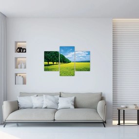 Tablou - Câmp cu alei (90x60 cm)