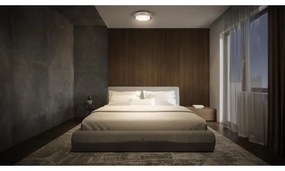 Plafonieră ORBIS MADRID 2xE27/10W/230V crom mat Ledvance