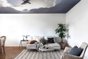 Fototapet, Free as a Bird, Rebel Walls