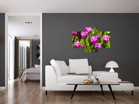 Tablou cu lale pe luncă (90x60 cm)