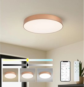 BRILAGI-LED Corp de iluminat cu dimmer POOL SMART LED/60W/230V 50 cm Wi-Fi Tuya cu finisaj cupru + telecomandă