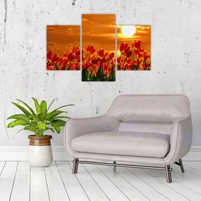 Tablou - lan înflorit de lalele (90x60 cm)