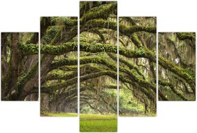 Tablou - Oaks Avenue, Charleston, Carolina de Sud, SUA (150x105 cm)