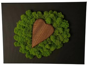 Tablou cu inimă de lemn și mușchi 20 x 30 cm