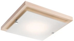 Plafonier 1xE27/60W/230V, iluminare plafon simplă și eficientă