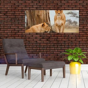 Tablou - două leoaice (120x50 cm)