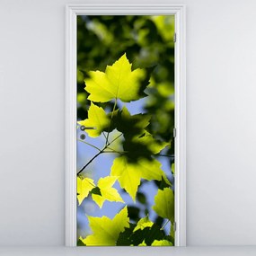 Fototapet pentru ușă - Frunze de arțar (95x205cm)