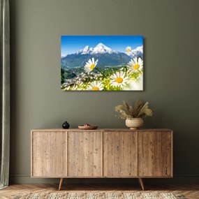 Tablou - Primăvara în Alpi (90x60 cm)