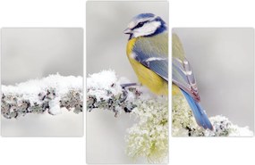 Tablou - Tit albastru în pădure (90x60 cm)