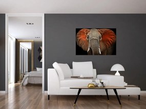 Tablou - Elefanți cu Tsavo (90x60 cm)