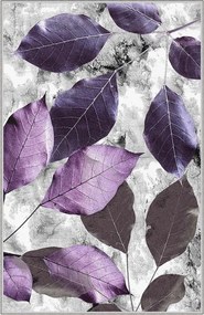 Covor, Hmnt572, 80x200 cm, Multicolor