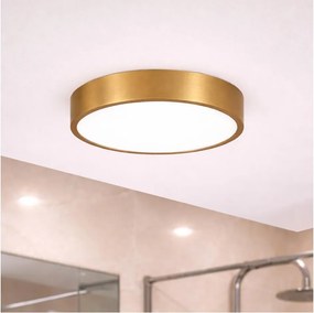 Brilagi - Plafonieră LED pentru baie POOL, 24W, 230V, Ø 30 cm, IP54, bronz