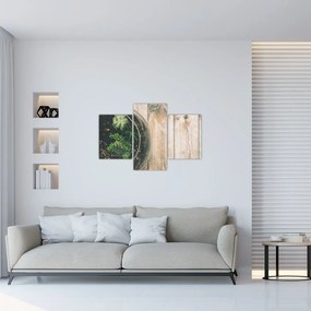 Tablou - Terariu de sticlă (90x60 cm)