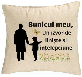 Perna Decorativa pentru Bunicul 6, 40x40 cm, Bej, Husa Detasabila, Burduf